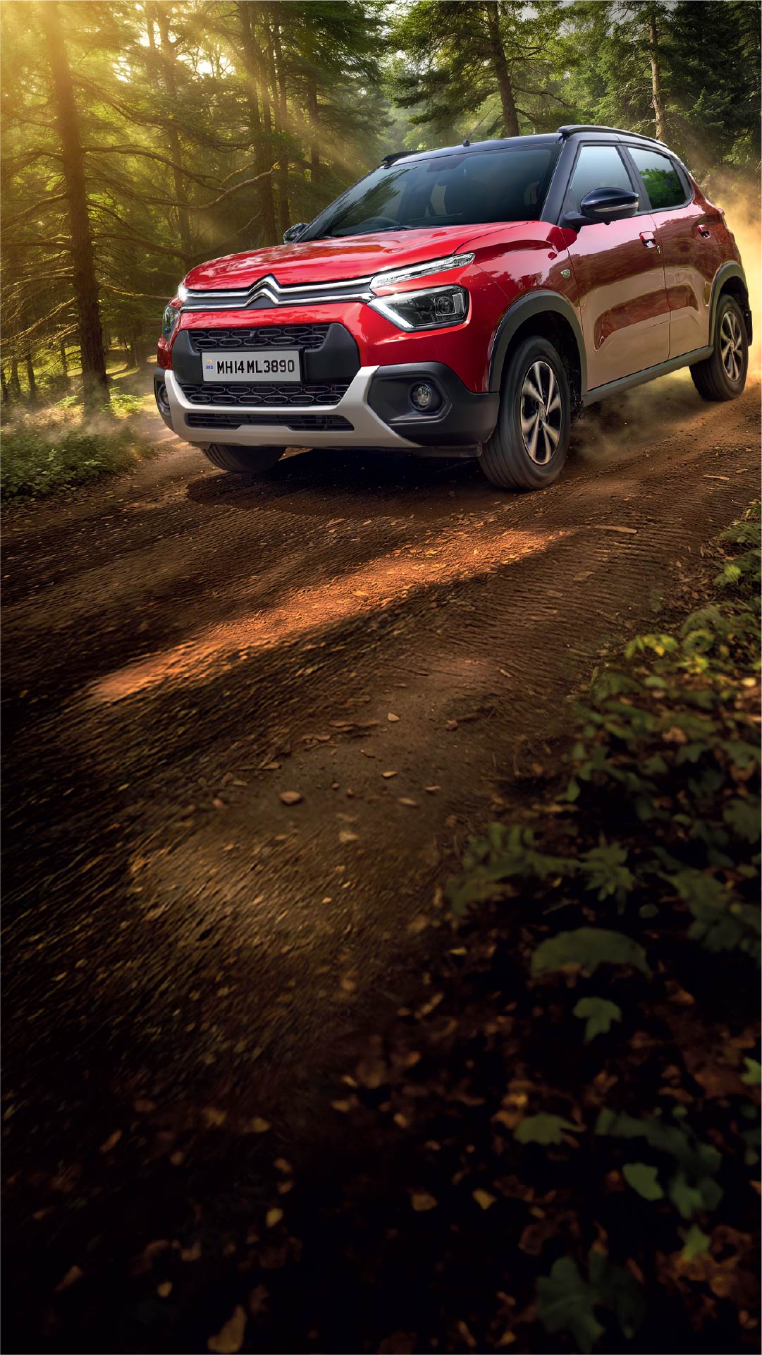 Bold. Smart. Unstoppable.
